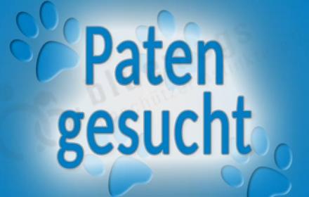 Wir suchen dringend Paten