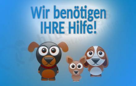 neue Futterhütte für das Refugio