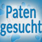 Patenhund braucht Hilfe