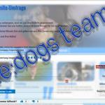 Umfrage zur Website