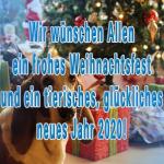 Frohe Weihnachten