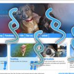 blue:dogs und die DSGVO
