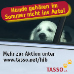 Aktion "Hund im Backofen"